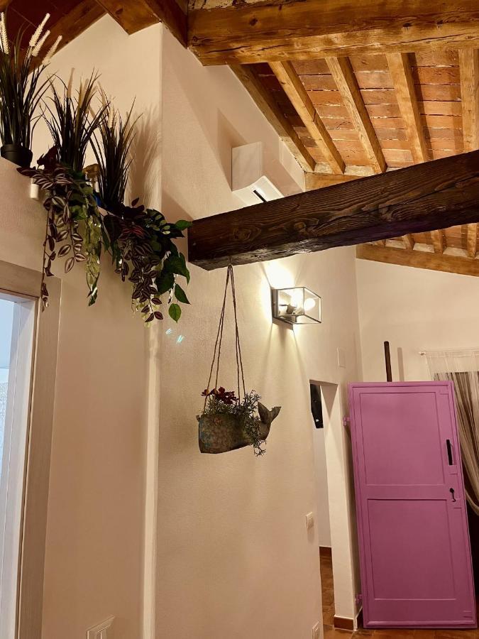 Modi Loft Apartment Livorno Bagian luar foto